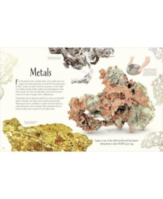 An Anthology of Our Extraordinary Earth by Cally Oldershaw