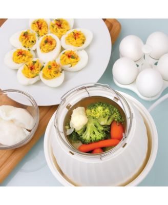 Electric Food Steamer and Egg Cooker