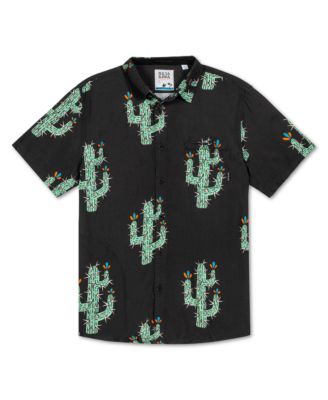 Baja Llama