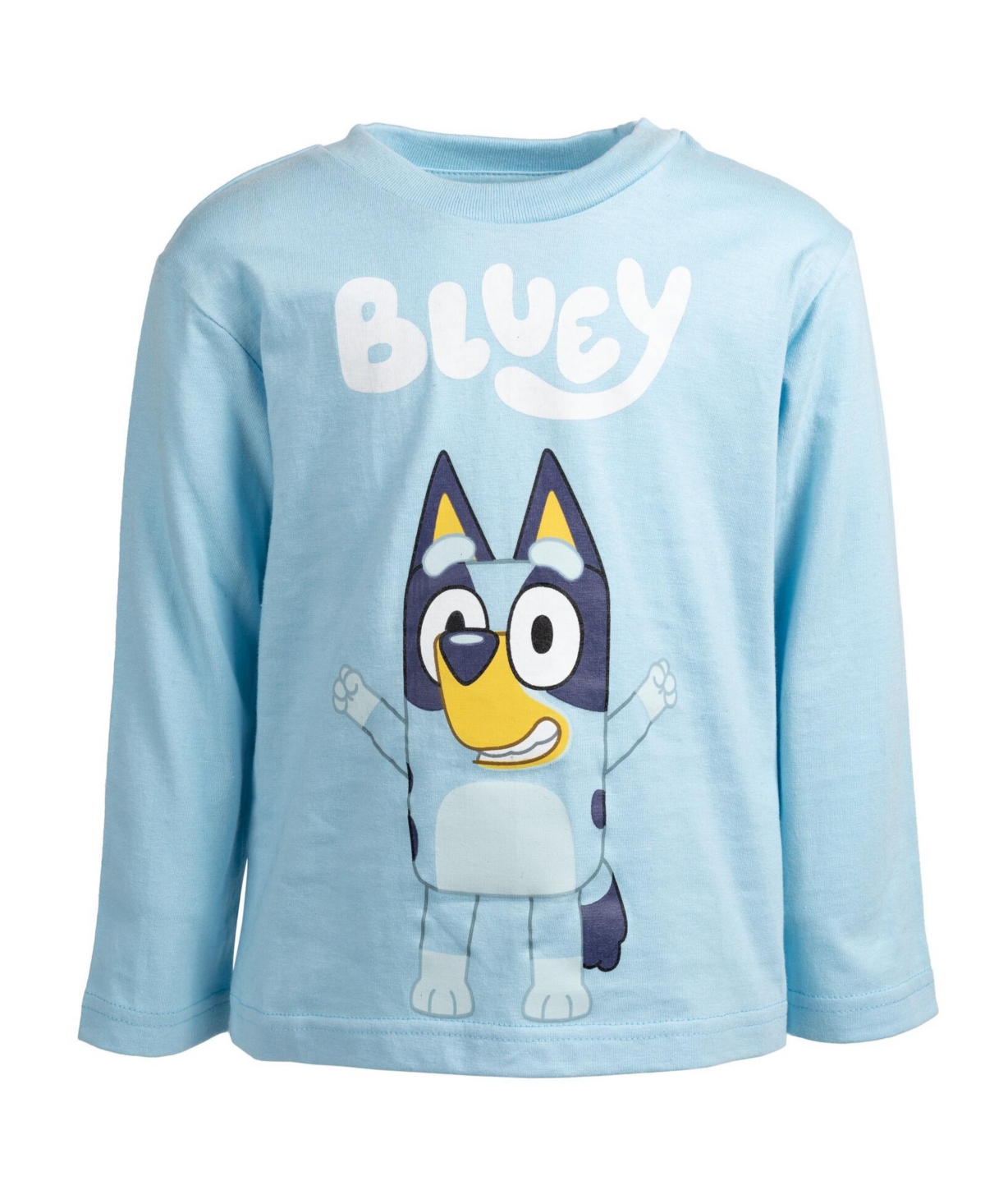 Boys Matching Family T-Shirt - Bluey, blue