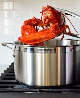 ProBond&reg; Clad Stainless Steel 8-Quart Covered Stock Pot