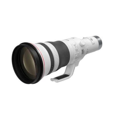 RF 800mm f/5.6 L IS USM Lens