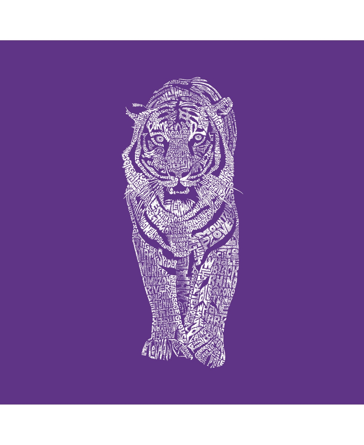 Girl's Word Art T-shirt - Tiger