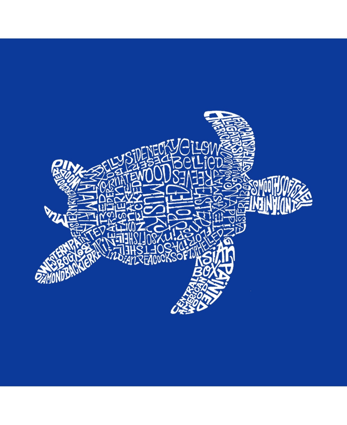 Boy's Word Art Long Sleeve - Turtle