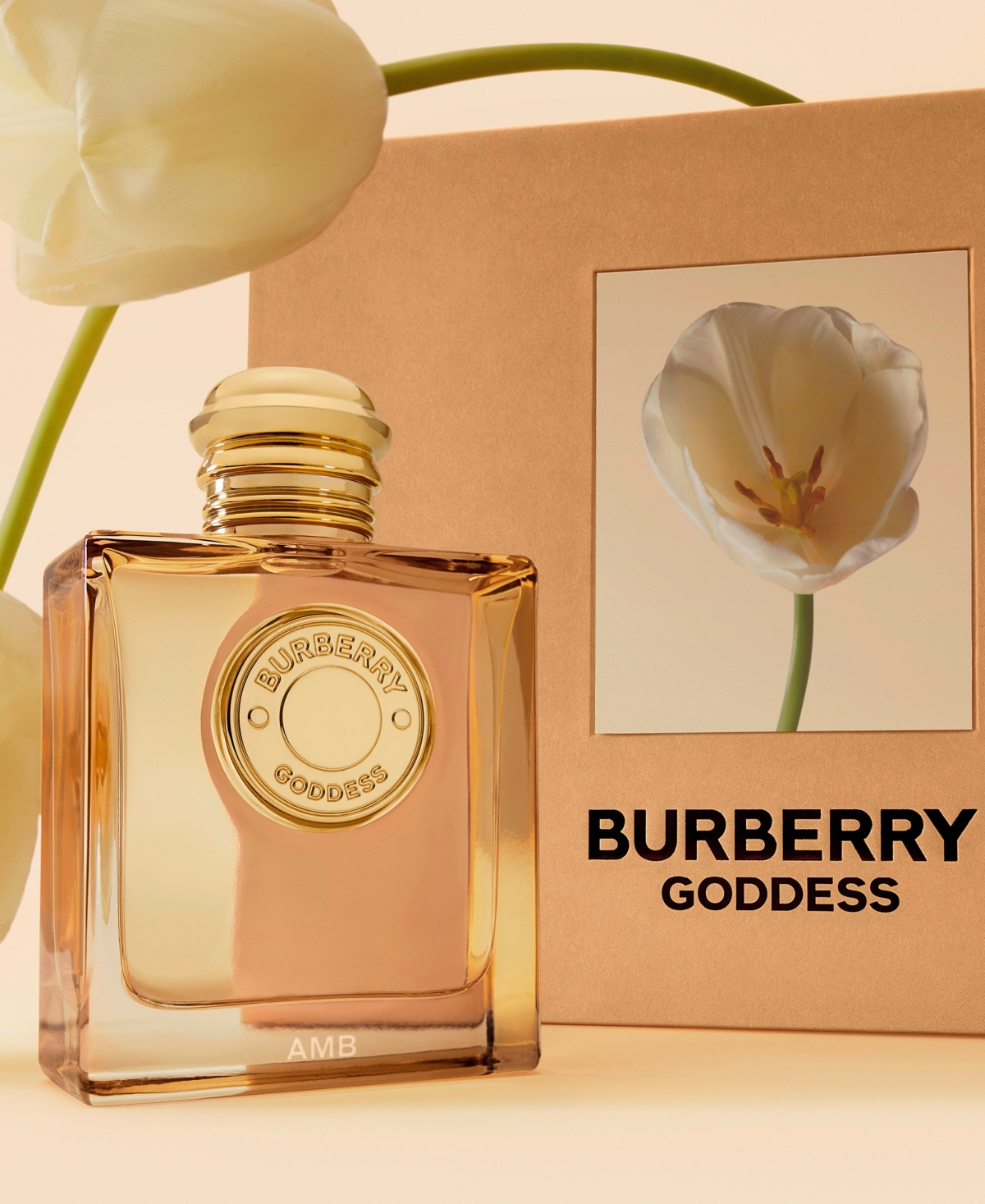 Shop Burberry 3-pc. Goddess Eau De Parfum Gift Set In No Color