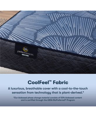 Perfect Sleeper Euphoric Nights 14" Plush Hybrid Mattress Set, California King