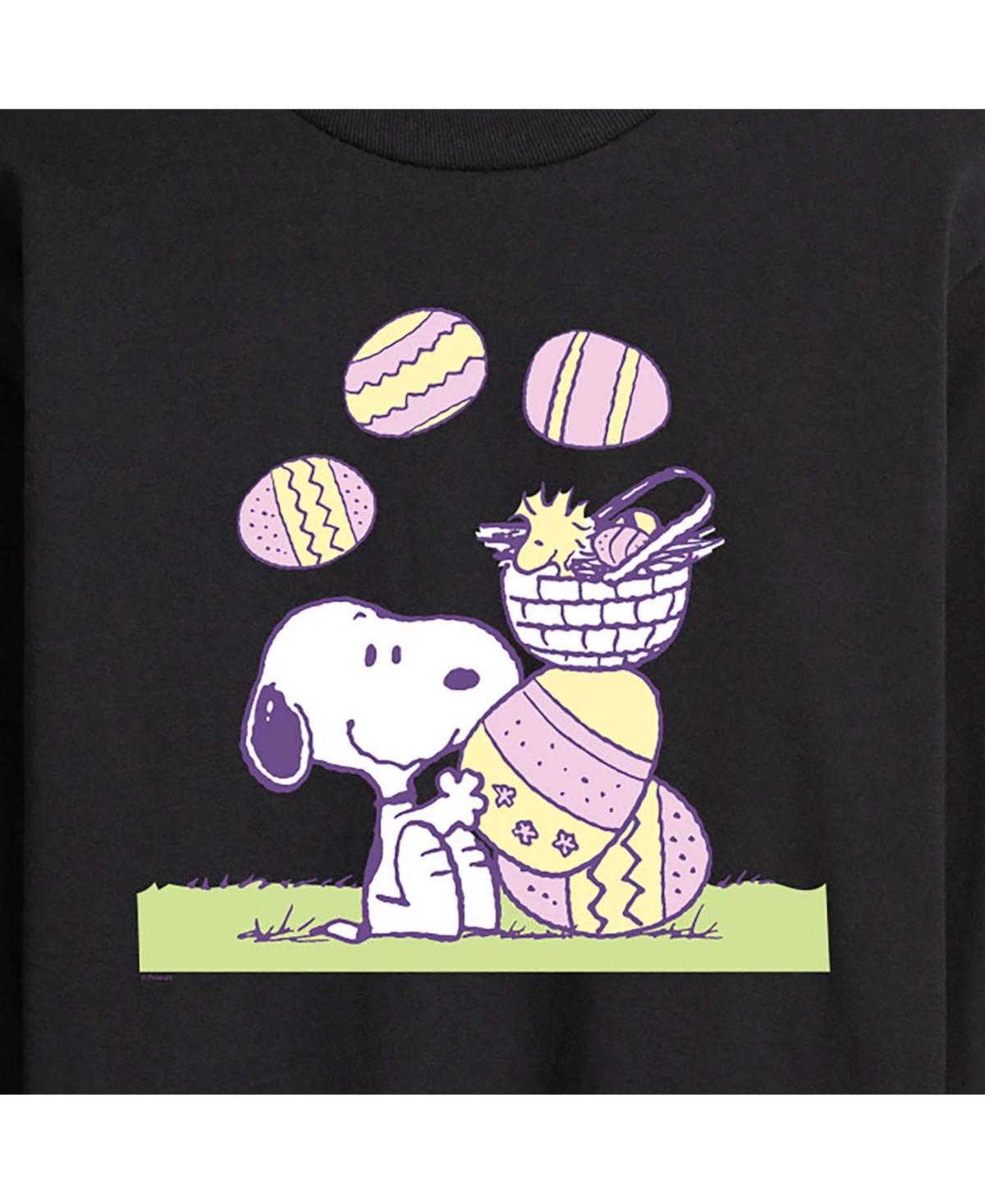 Airwaves Men's Peanuts Long Sleeve T-shirts