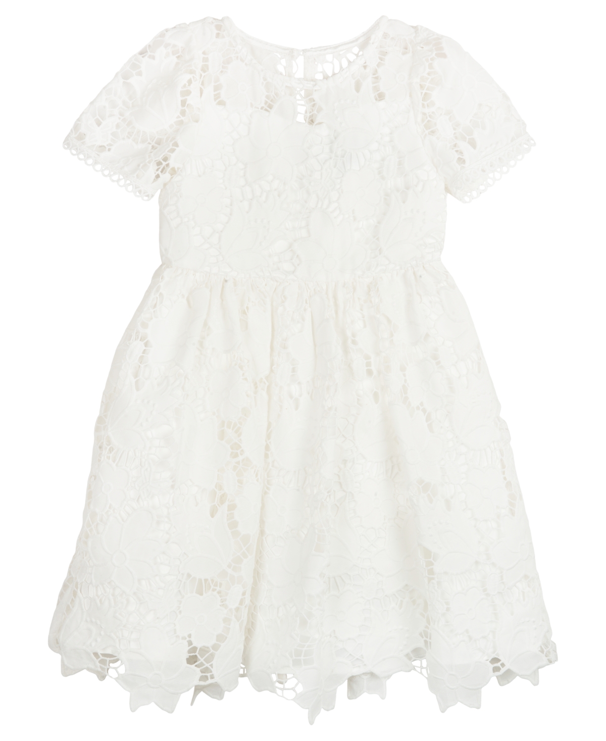Shop Rare Editions Toddler Girls Illusion Cap Sleeves Burnout Crochet Social Dress In White