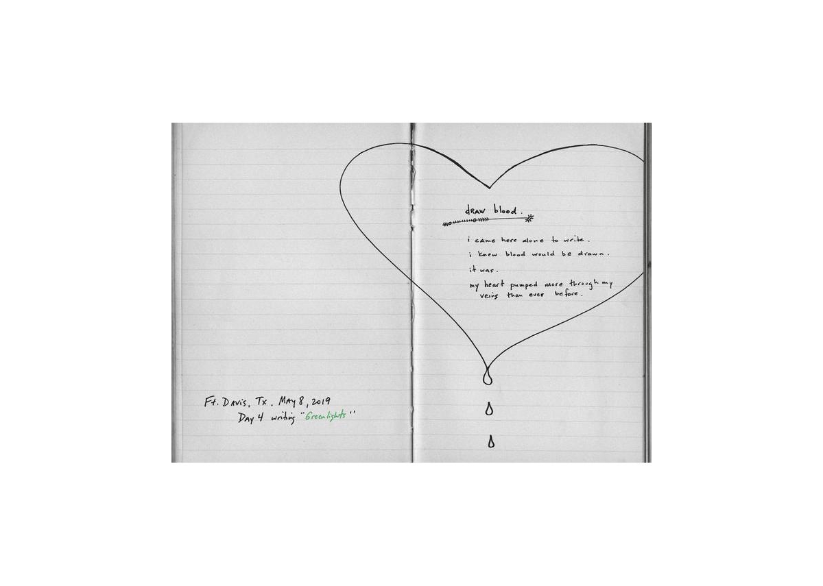 Greenlights by Matthew Mcconaughey