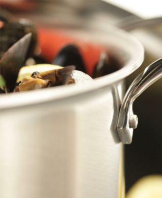 D5 Brushed Stainless Steel 8 Qt. Covered Stockpot