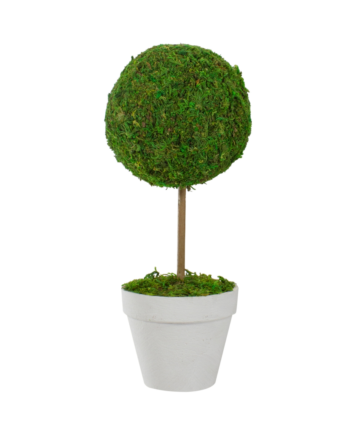 Northlight 16" Reindeer Moss Ball Potted Artificial Spring Topiary Tree In Green