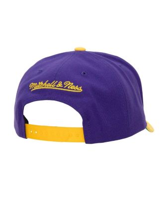 Men's Purple, Gold Los Angeles Lakers Soul XL Logo Pro Crown Snapback Hat