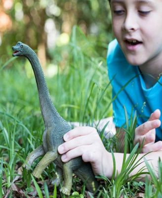 Brachiosaurus Dinosaur Toy Figure