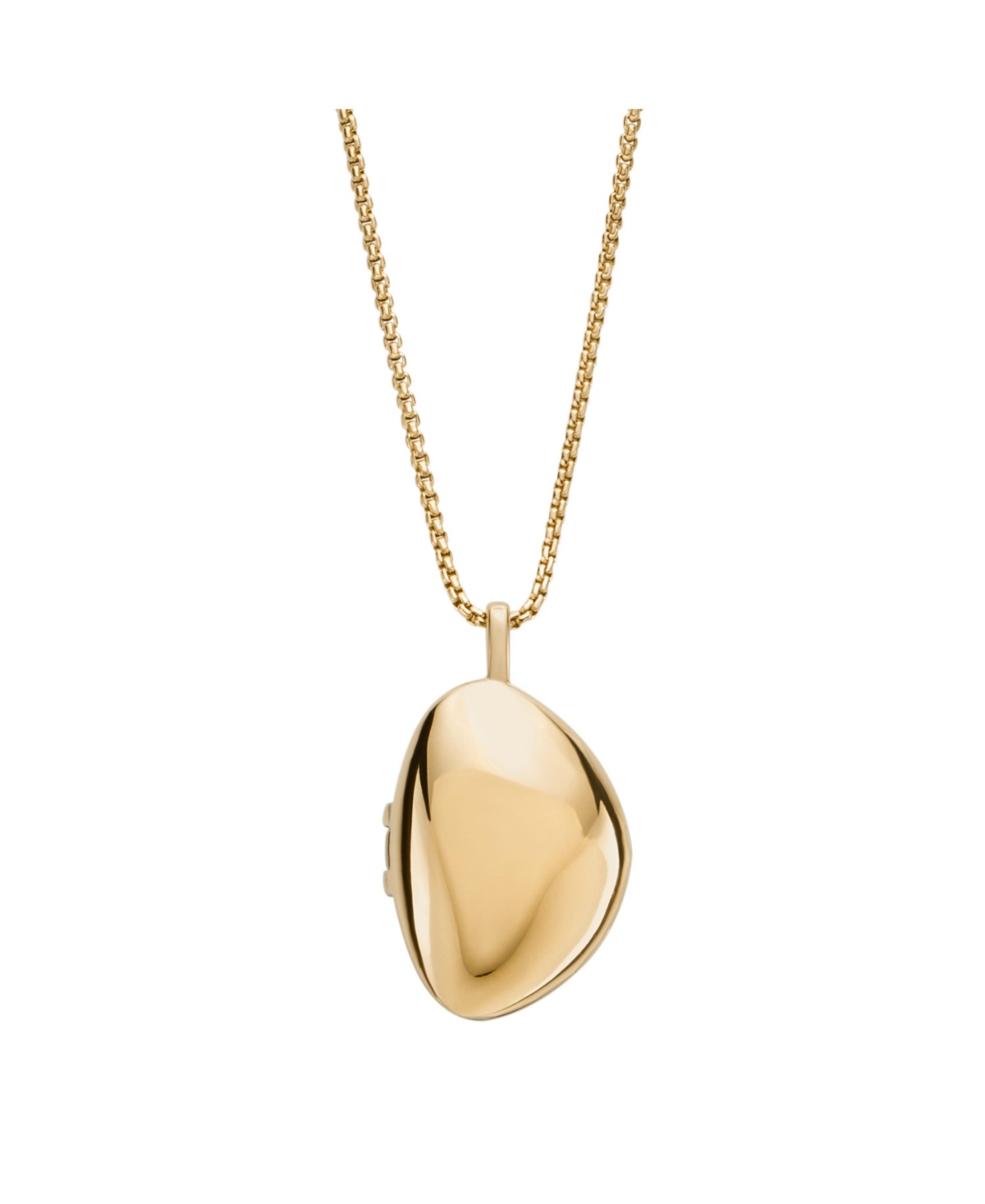 Women's Anja Pebble Locket Gold-Tone Stainless Steel Chain Necklace, SKJ1752710 - Gold