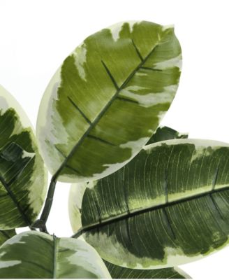 52" Indoor Artificial Floor Rubber Tree with Black Pot