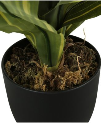 17" Indoor Artificial Dracaena Plant with Decorative Black Pot