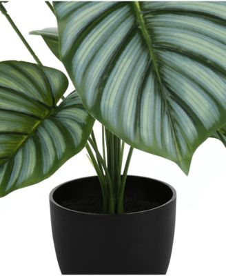 24" Indoor Artificial Calathea Plant with Decorative Black Pot