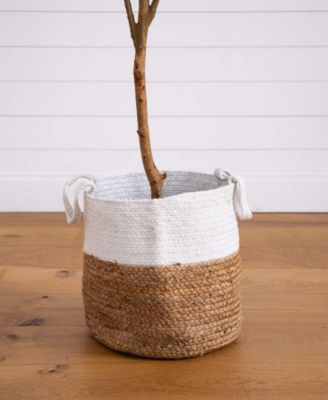 7ft. Artificial Olive Tree with Natural Trunk and Handmade Jute Basket