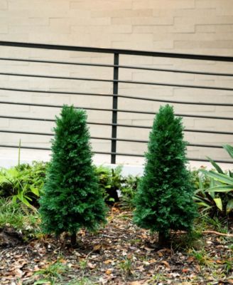 3ft. UV Resistant Artificial Cedar Plant with Integrated Ground Stake Indoor/Outdoor - Set of 2
