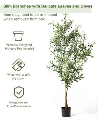 6ft. Faux Olive Tree in Pot