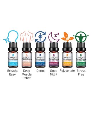 6 Pack of 100% Pure Essential Aromatherapy Oils Blends