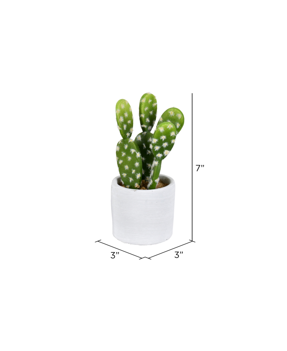Vickerman Set Of 3 Assorted 7" Potted Artificial Cactus Plants, Set Of 3 In Green