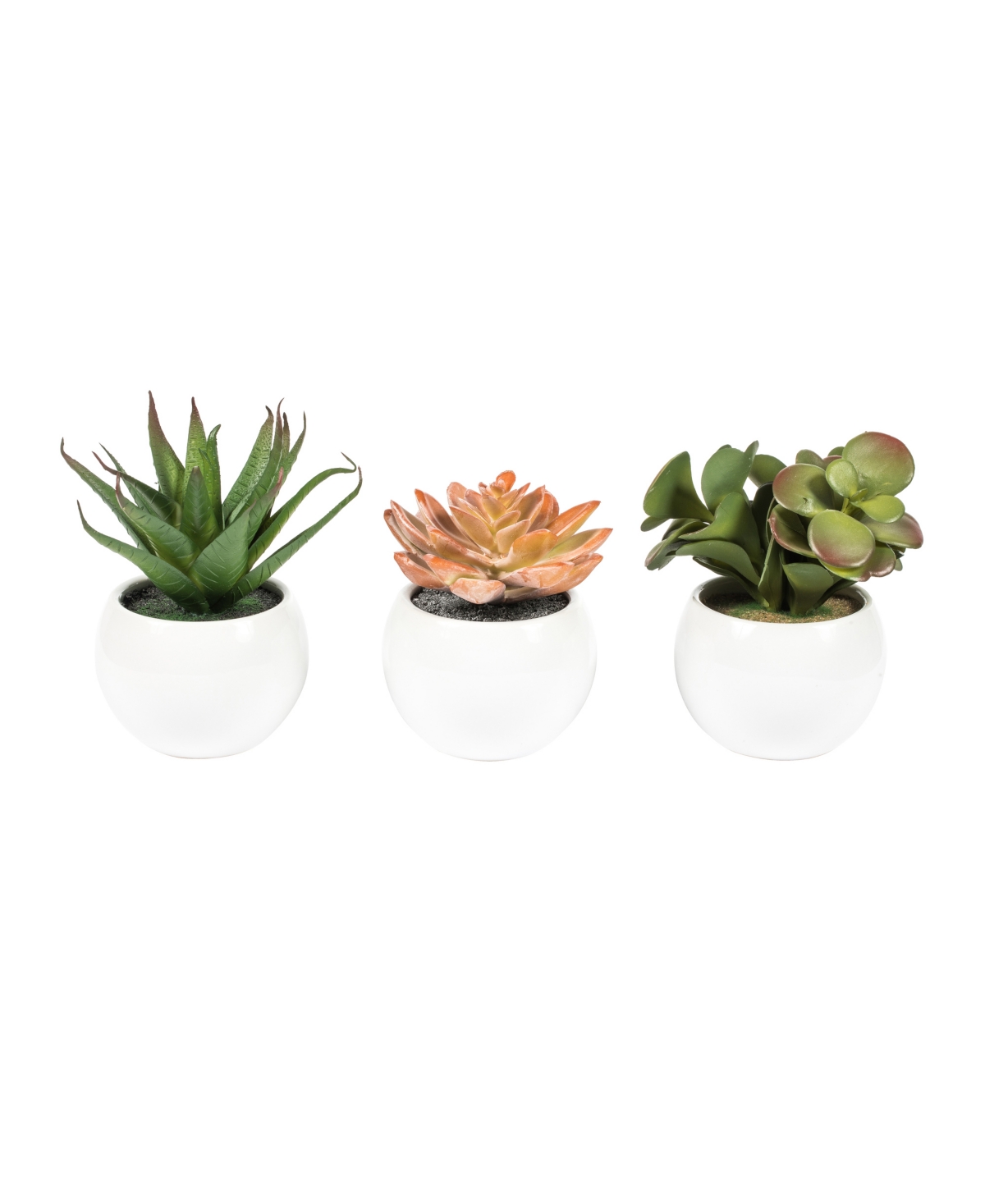 5" Artificial Assorted Potted Succulents. - Multi