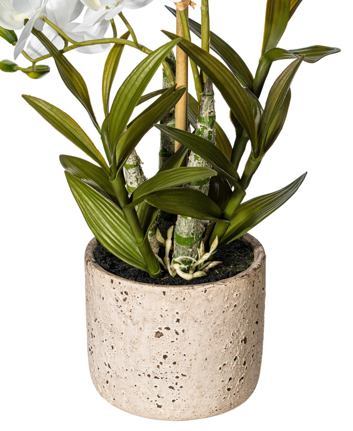 Vickerman 19" Artificial White Deluxe Potted Cycnoches Orchid. In White