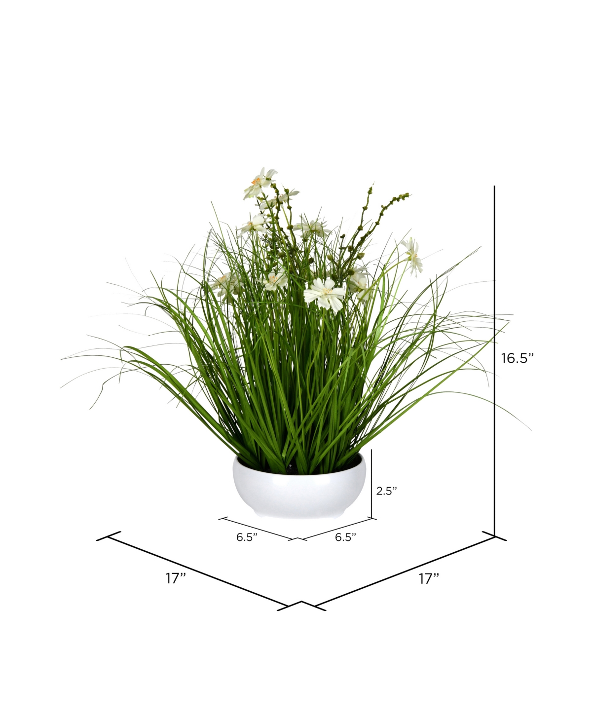 Vickerman 16.5" Artificial Potted Cream Cosmos And Green Grass. In Cream