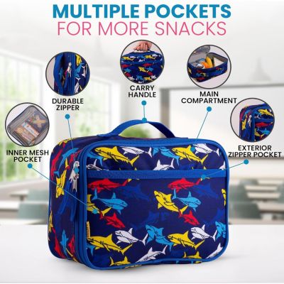 Insulated Lunch Bag With Spacious Compartment & Built-In Handle