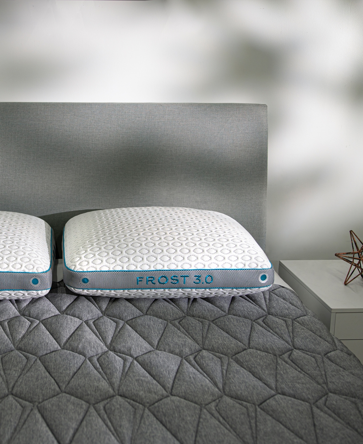Shop Bedgear Frost Performance 3.0 Pillow, Standard/queen In White