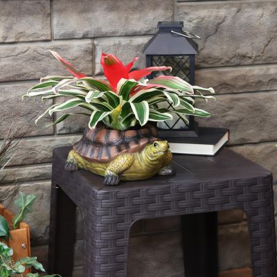 Polyresin Teddy the Turtle Decorative Garden Planter for Indoor or Outdoor Use - 11" W - Green and Brown