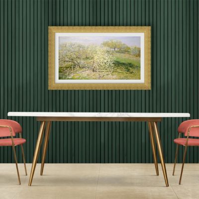 50" Frame for Samsung The Frame TV 2021-2026