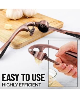 Premium Garlic Press Set - Rust Proof & Dishwasher Safe Professional Garlic Mincer Tool