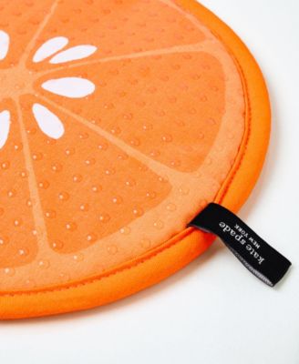 Squeeze the Day and Spring Gingham Pot Holder 2-Pack 