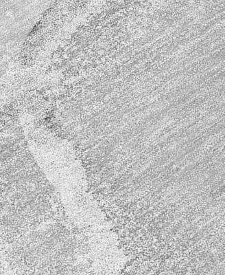 Chantille Machine Washable ACN510 2'6x3'10 Area Rug