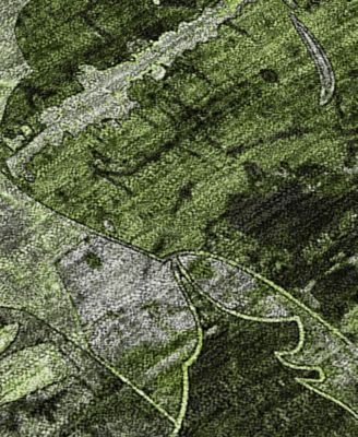 Chantille Machine Washable ACN555 2'6x3'10 Area Rug