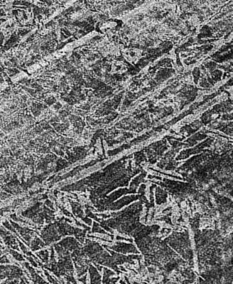 Chantille Machine Washable ACN559 5'x7'6 Area Rug