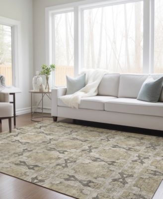 Chantille Machine Washable ACN564 8'x10' Area Rug