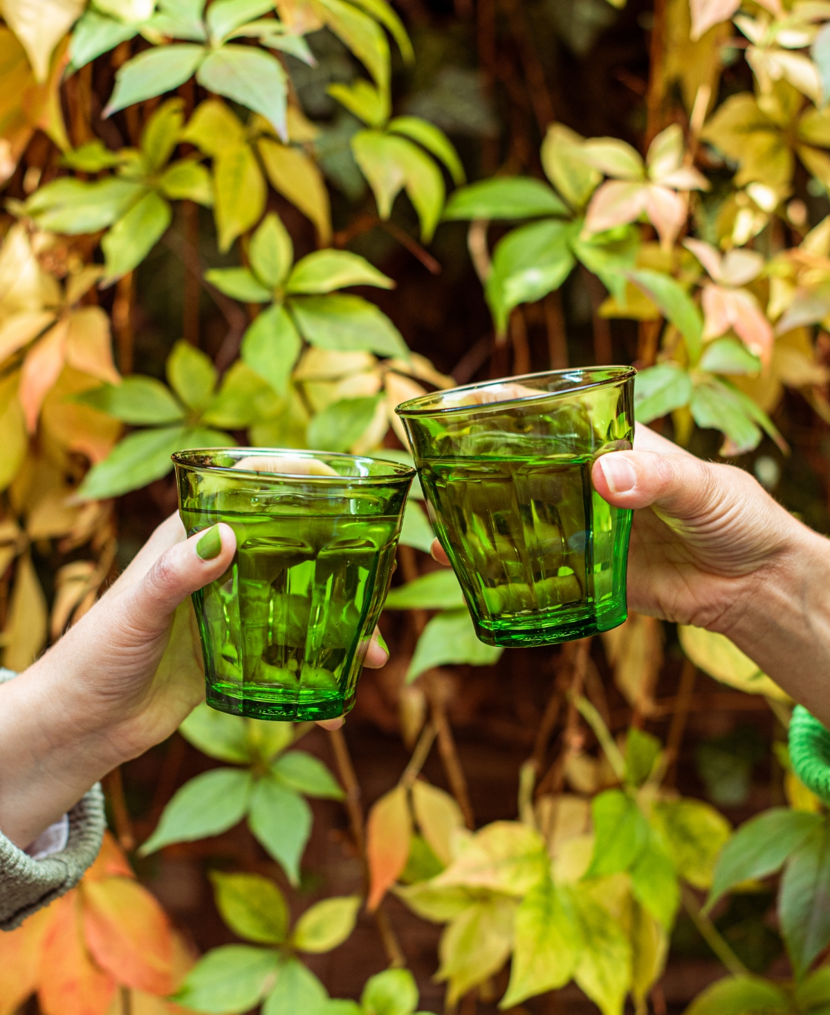 Duralex Set Of 6 Picardie Tumblers In Green