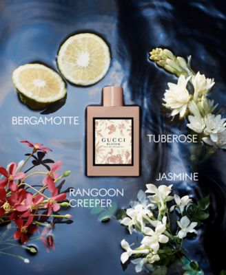 Amazon.com : Gucci Gucci Bloom EDT Spray Women 3.3 oz