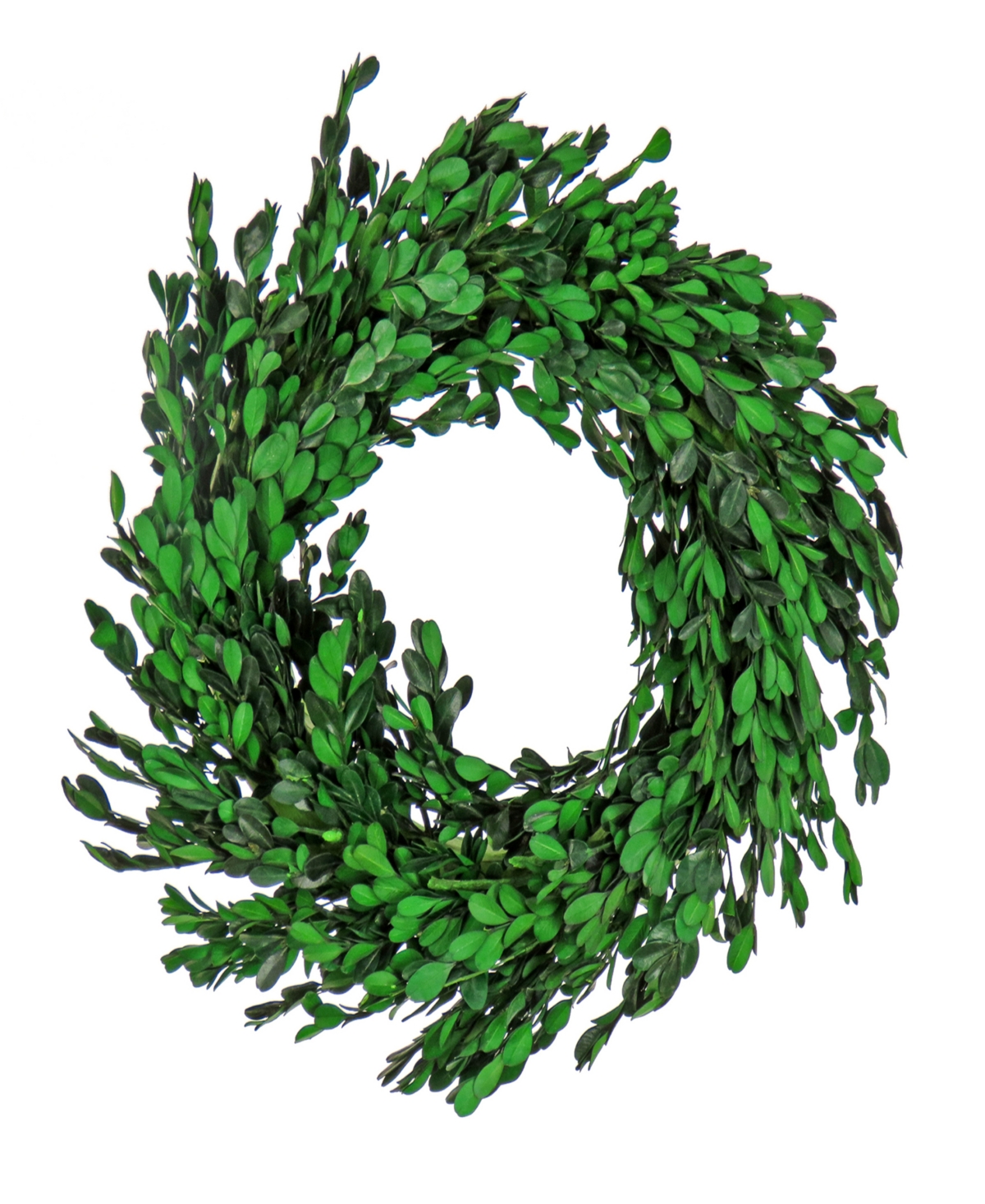 18 Spring Boxwood Wreath - Green