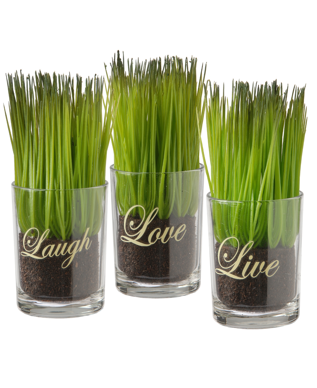 3-Piece Sprout-Filled Glass Assortment - Green