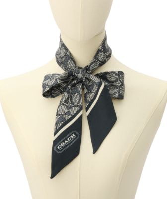 Women's Vintage Signature Print Silk Skinny Scarf