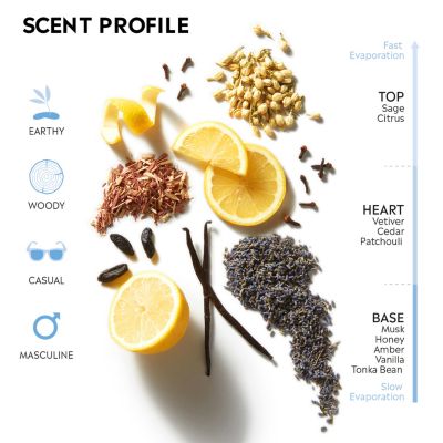 Stetson Original - Cologne for Men - Classic and Masculine Aroma with Fragrance Notes of Citrus, Patchouli, and Tonka Bean - 3.5 Fl Oz