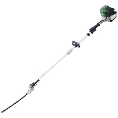 Streamdale 4-in-1 Trimming Tool System with Gas Pole Saw