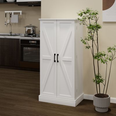 White LED Kitchen Pantry Cabinet with 2 Doors and Shelves