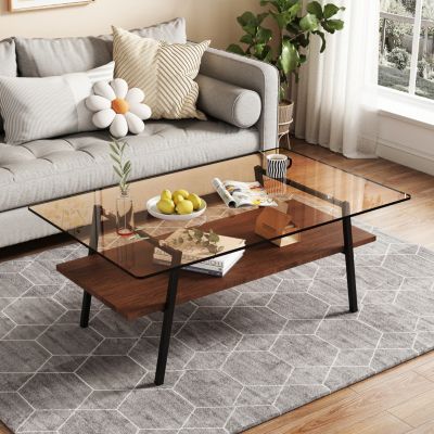 Modern Brown Glass Coffee Table