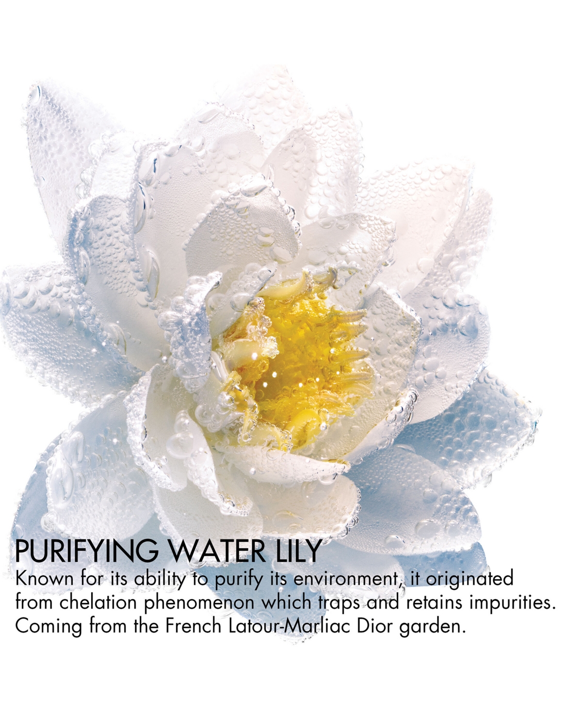 Dior Eye And Lip Makeup Remover Purifying Nymphea Bi-phase Makeup Remover