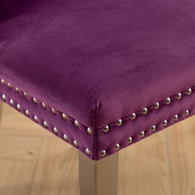 Streamdale Nikki Collection 2-Piece Purple Velvet Dining Chairs